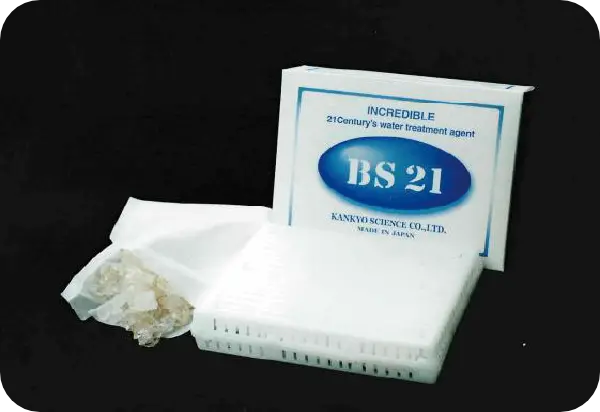 BS21